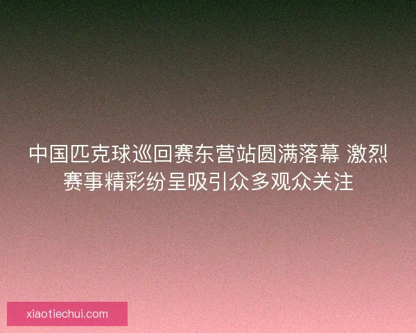 中国匹克球巡回赛东营站圆满落幕 激烈赛事精彩纷呈吸引众多观众关注